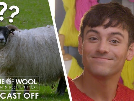 Patterns Worn by Contestants on Game of Wool (Season 1, Episode 2)