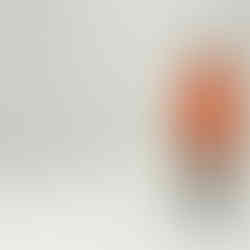 Visitor of Brancusi Retrospective 