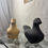 Миниатюра: Canard Blanc. By Gerard Pettiti