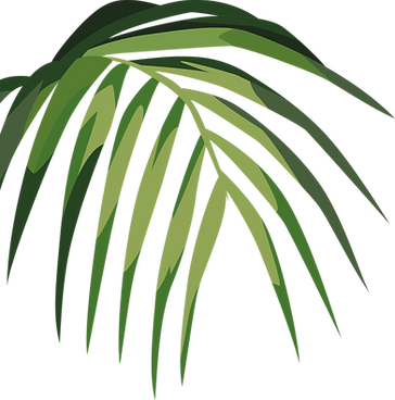 Tropical Leaf