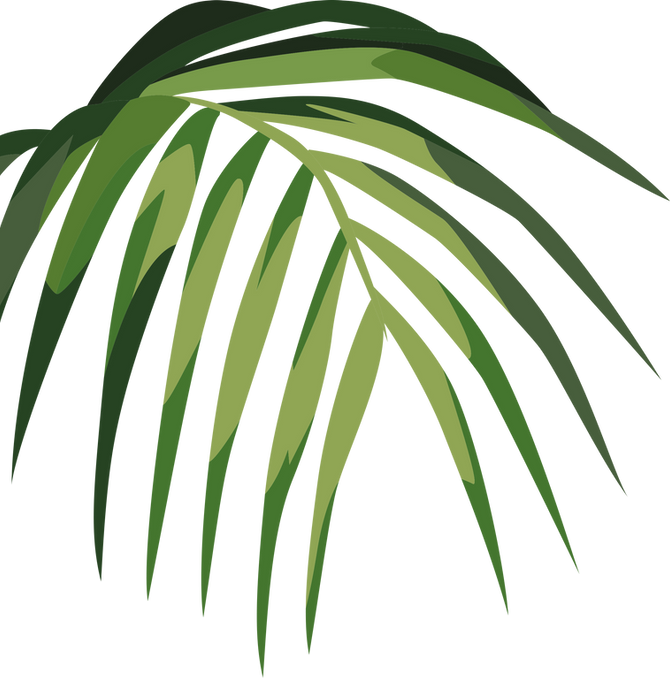 TOPICAL EMPIRE - Plant pop up at Botanica