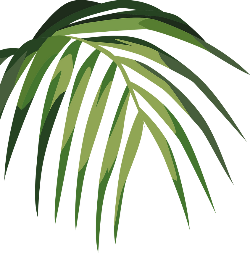 Feuille tropicale