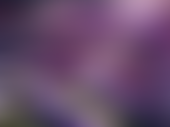 Cutting-Edge Wine Machines: A Look Into Innovation