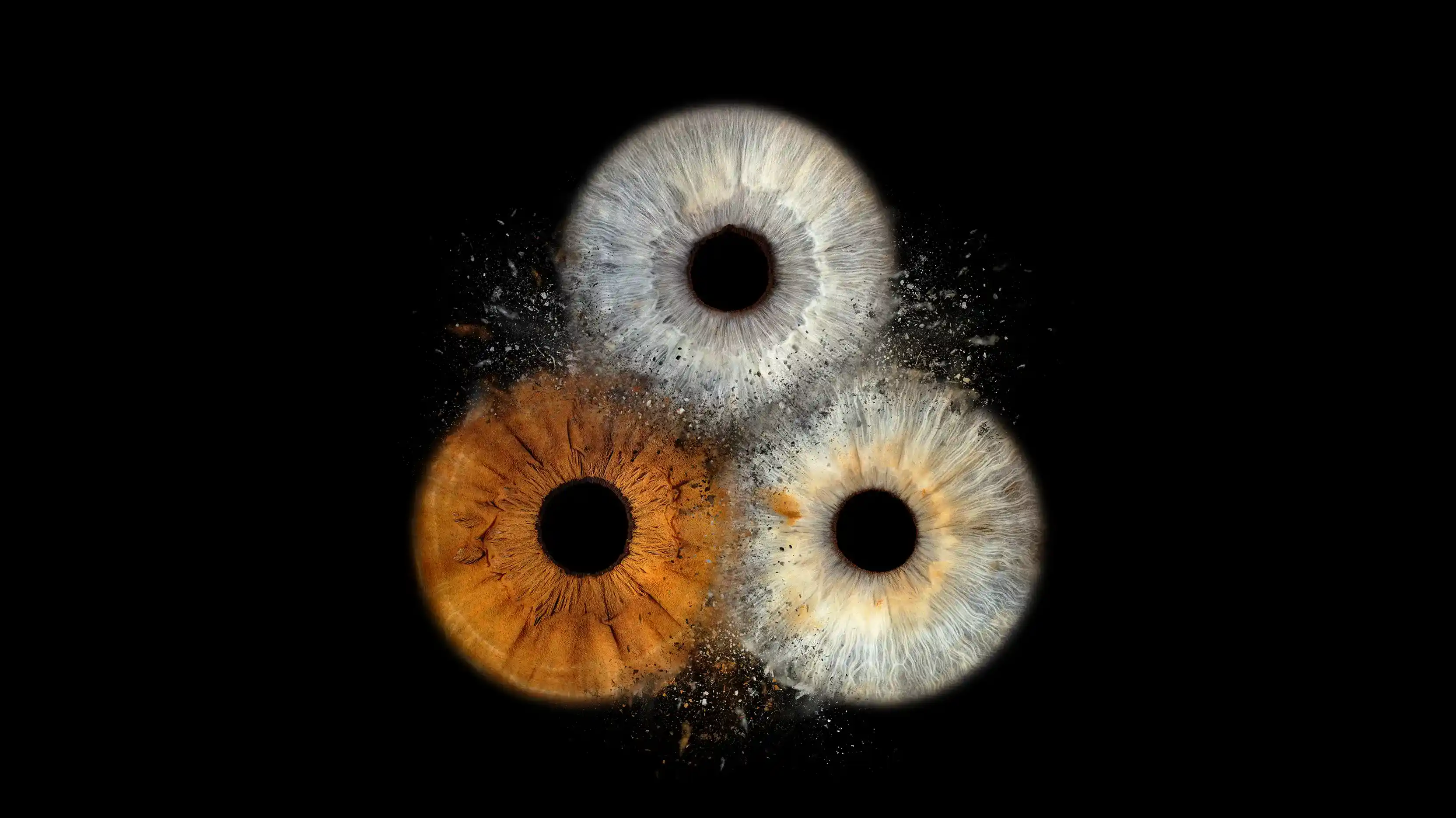 Iris Foto Chur 3.webp