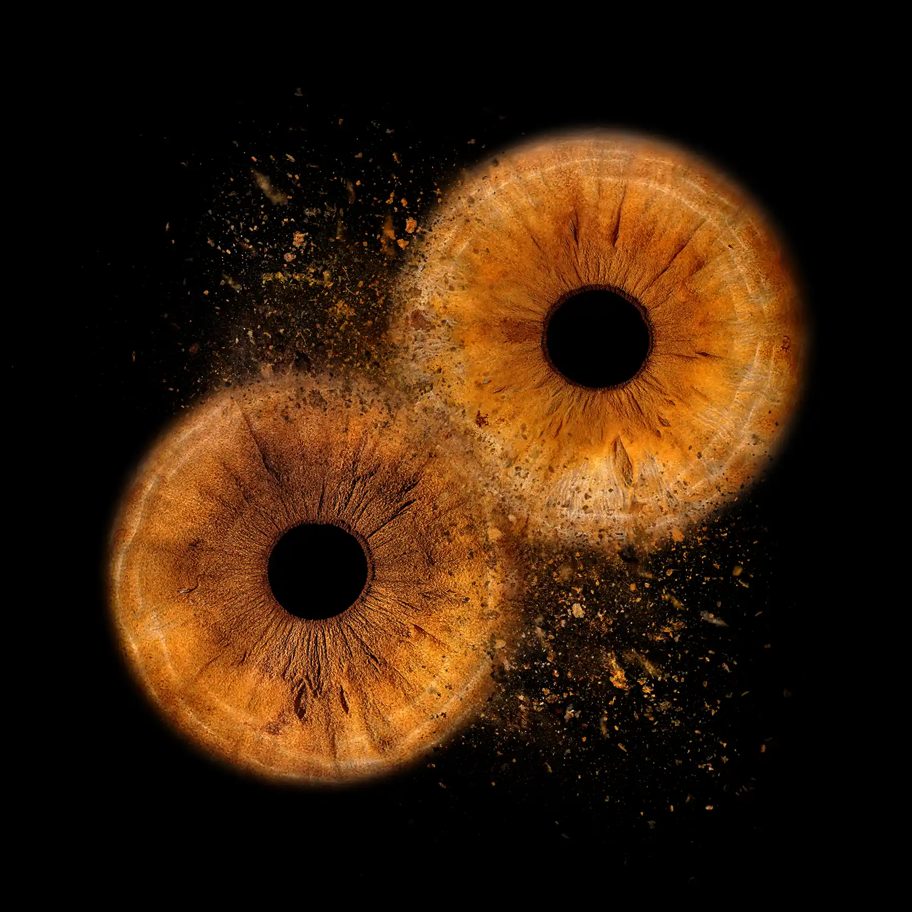 Iris Foto Chur Paarshooting für Irisfotografie