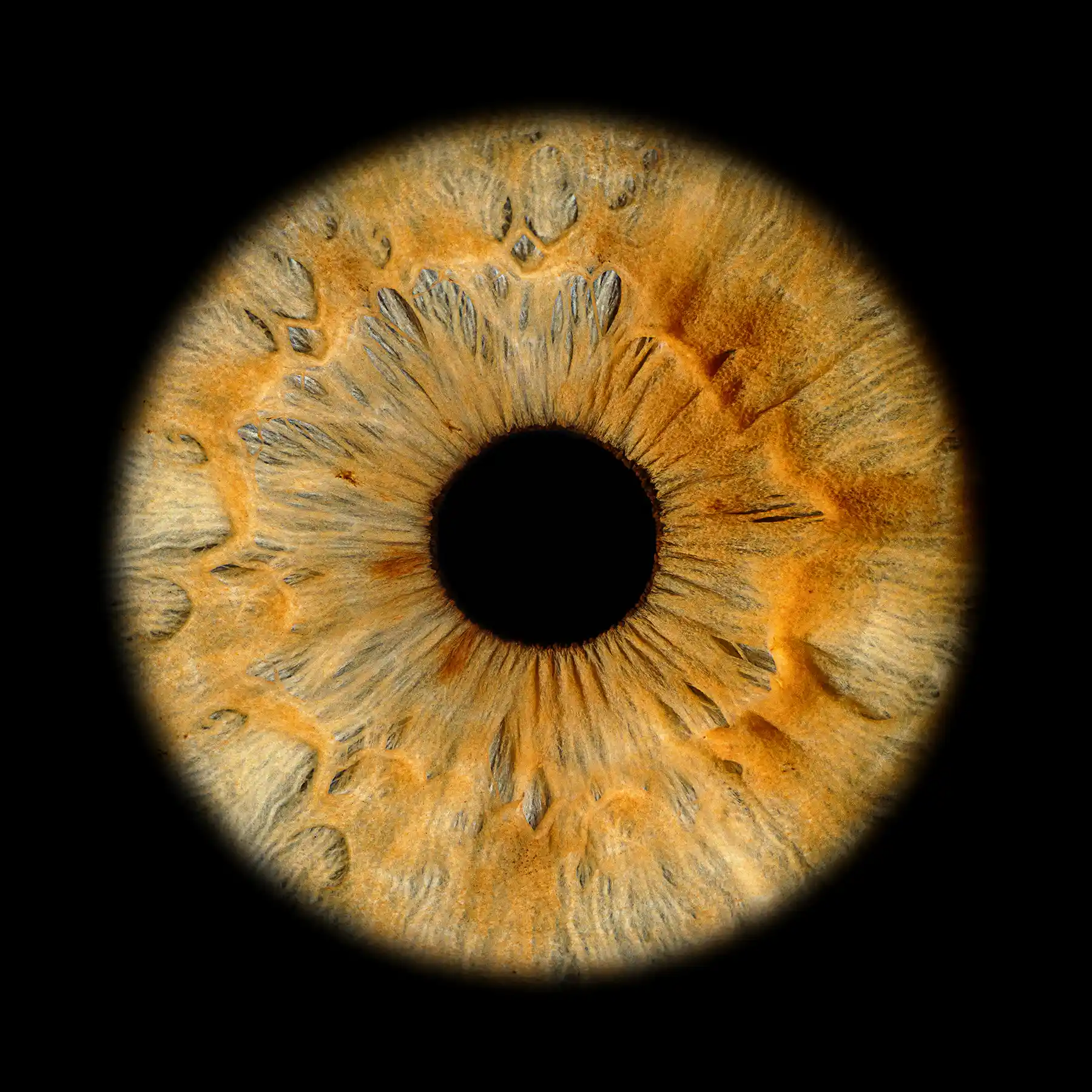 Deine Iris ist einzigartig. In einem ganz speziellen Irisfotoshooting fangen wir jedes Detail deiner Iris ein.
