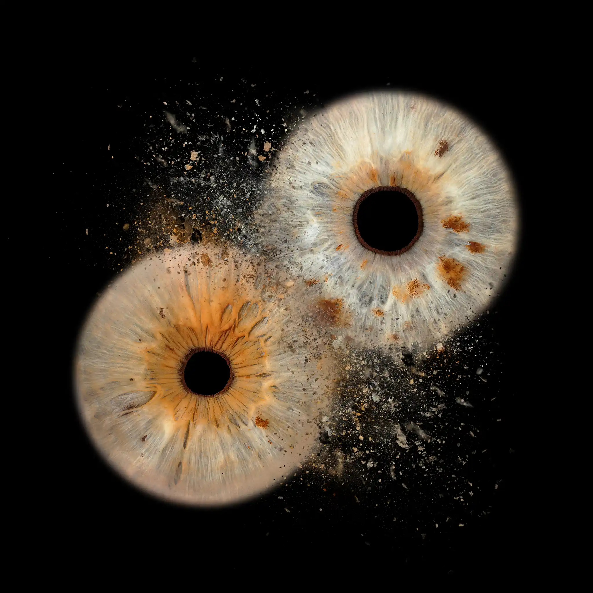 Irisfotografie der Clash