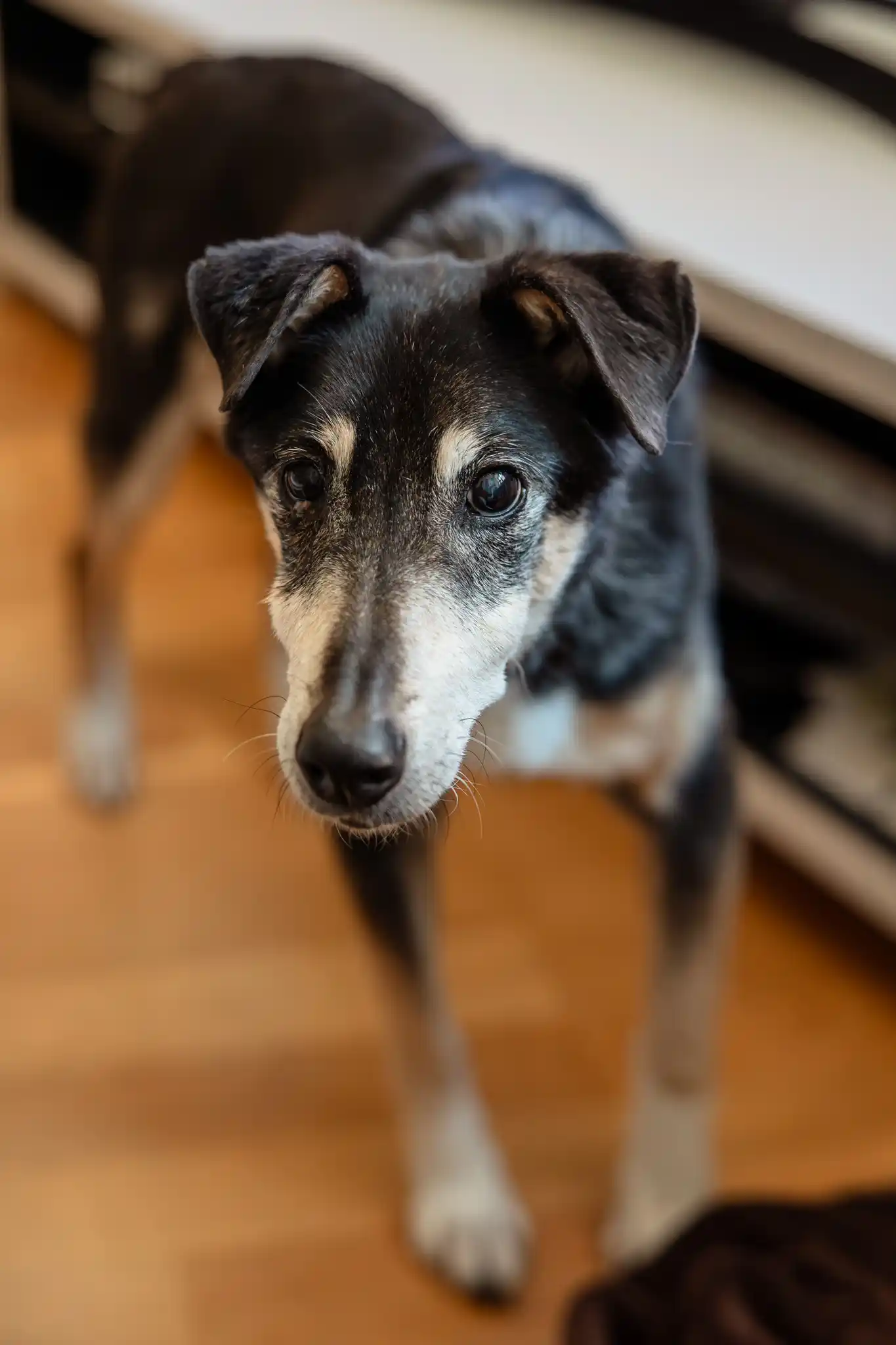 Wettbewerbsvorbereitung mit Stefanie Blochwitz - ein photo professionals Work Together