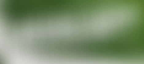 Milán: Doble doble golpe de la Roma al Ac Milan en Fichajes.