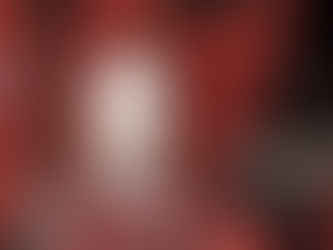 ¿Mario Pašalić para Francia en Enero?