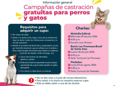 Santa Ana impulsa el bienestar animal con jornadas gratuitas de castración