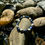 Thumbnail: Sodalite & Howlite Healing Bracelet