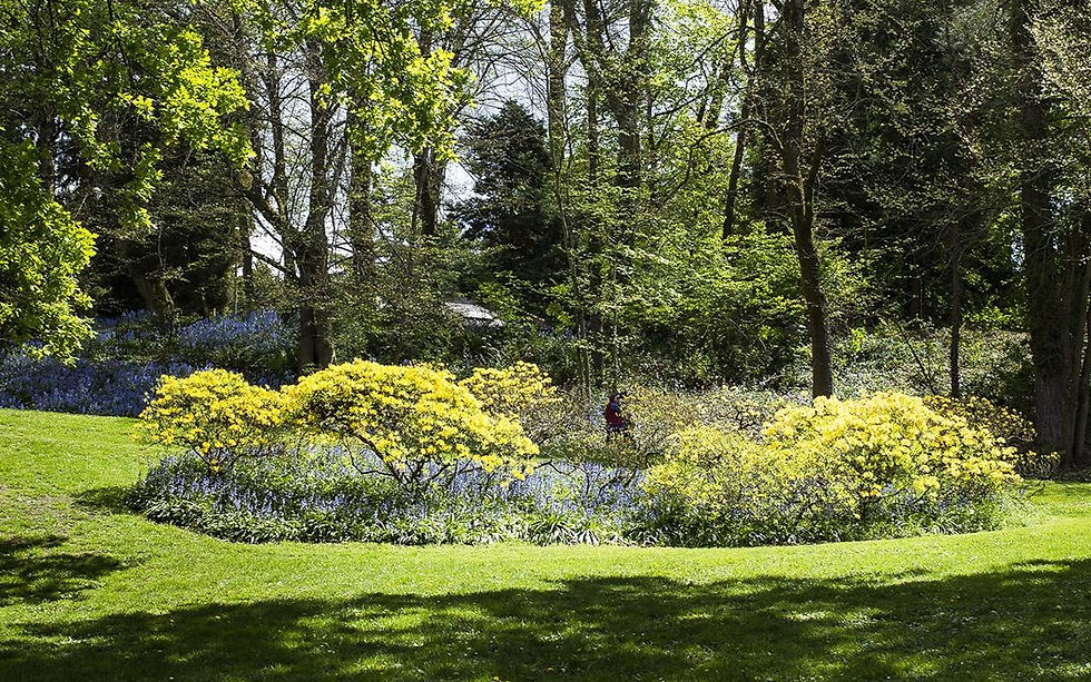 VolunteerPark_J_Crandall_hero_edited.jpg