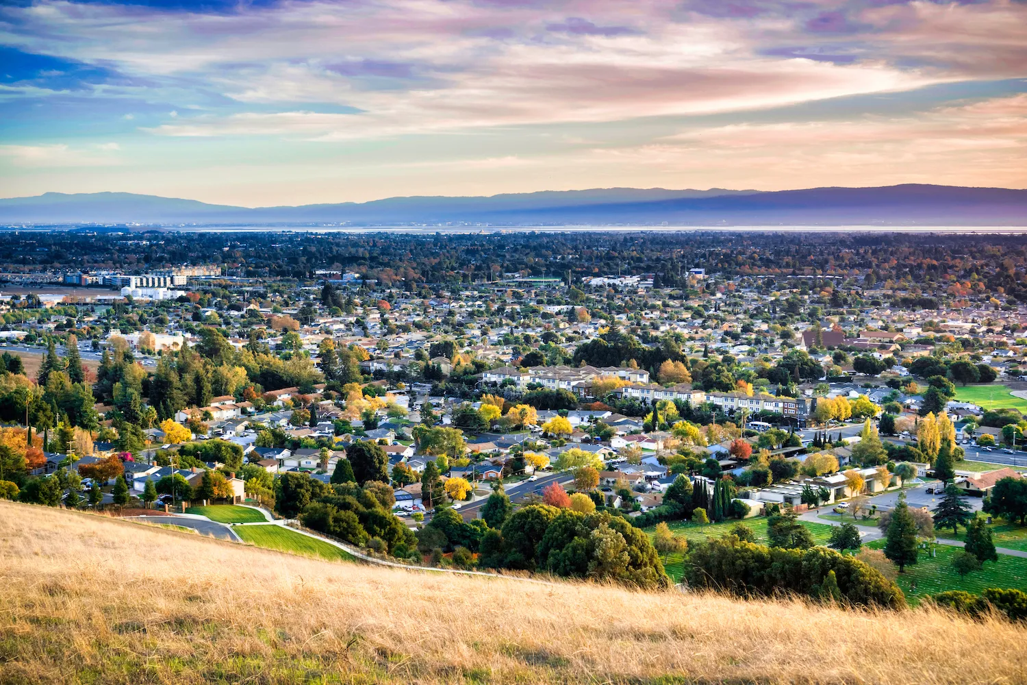 fremont.webp