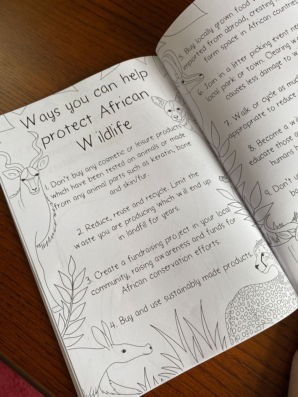 Thumbnail: Safari Animals Colouring Book