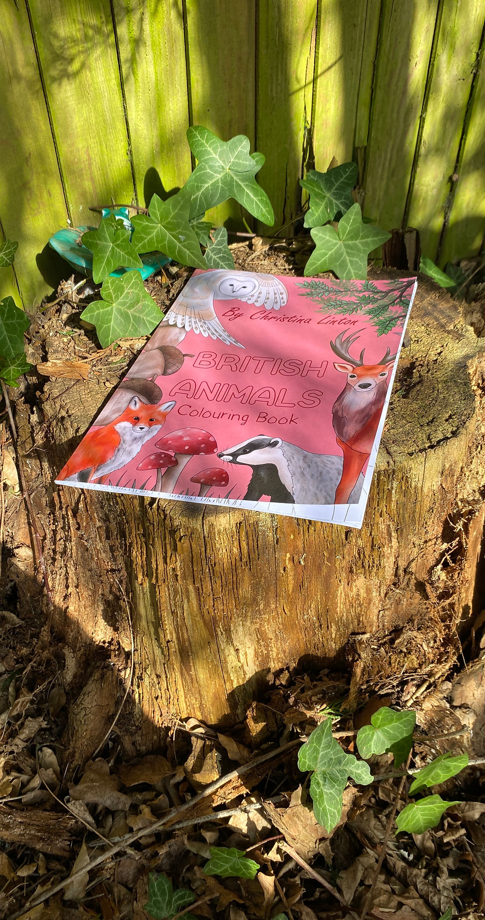 Thumbnail: British Animals Colouring Book