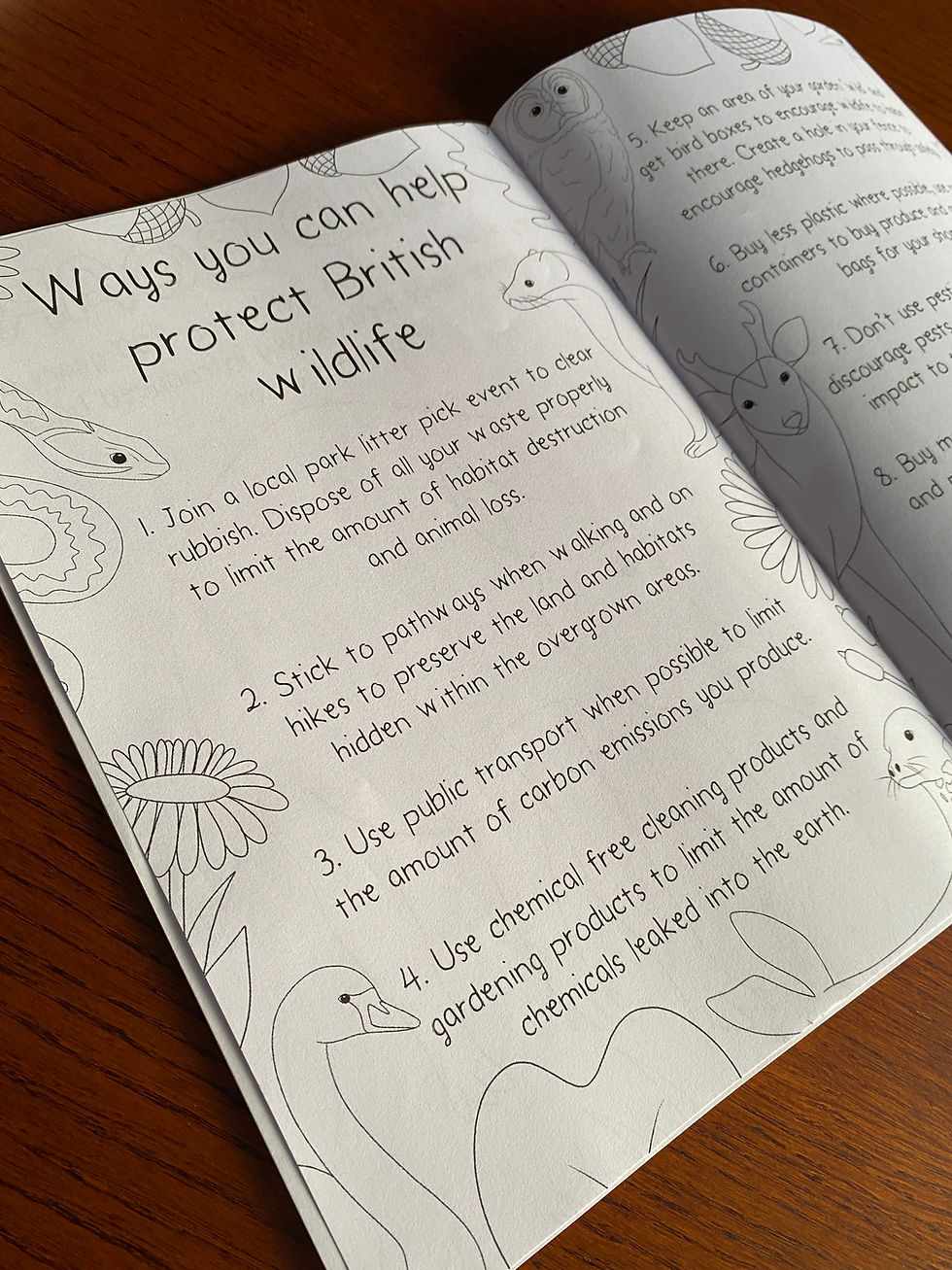 Thumbnail: British Animals Colouring Book