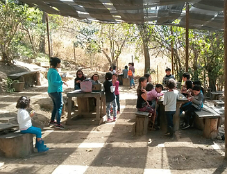 excursiones.png