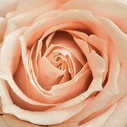 sacred feminine embodiment journey
