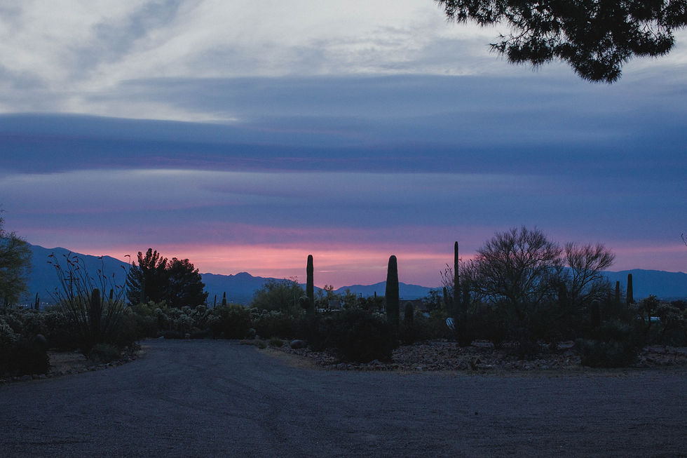DesertDome-Land.jpg