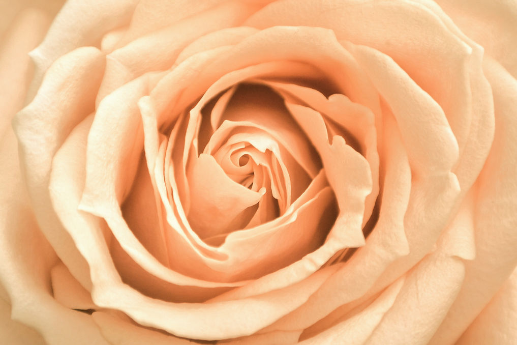feminine leadership guiding connection to nature