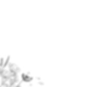 Image (46)_edited.jpg