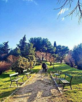 Walking Park.JPG