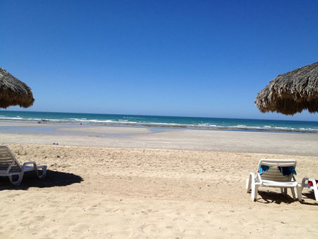 What to Do in Puerto Peñasco Mexico: Your Rocky Point Guide