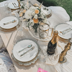 Neutral Picnic.png