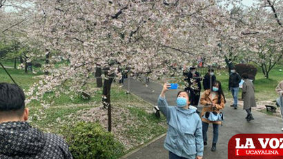 Wuhan celebra emblemático festival en medio del avance global de la COVID-19