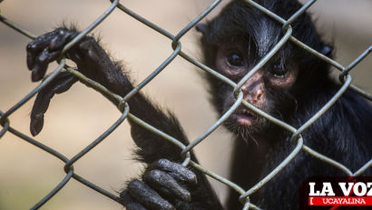 Parque natural no recibirá donación de alimentos