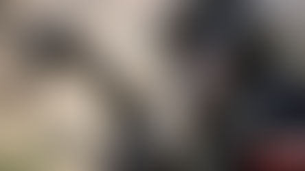 Parque natural no recibirá donación de alimentos