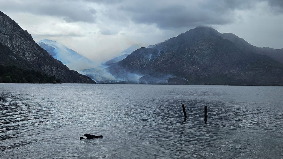 En los últimos 20 o 25 años se están observando incendios más severos y más recurrentes en la Patagonia. Foto: cortesía Javier Grosfeld