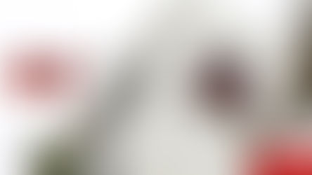 Candidatos que entreguen regalos serían sacados de contienda