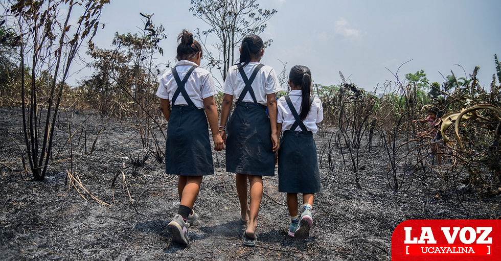 2026 traerá más incendios y eventos climáticos extremos por el cambio climático y El Niño, advierten científicos