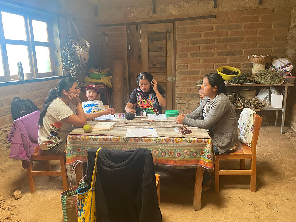 Diálogos que quedaron plasmados en el podcast "Kaxë’ëjkën, parir al calor del hogar y del territorio", de la iniciativa Periodismo de lo Posible. Foto: cortesía Organización de Mujeres Poj Kääj A.C.