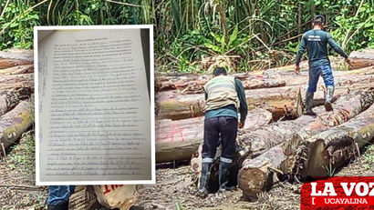 Ofertan madera intervenida por FEMA de Atalaya en Tahuanía