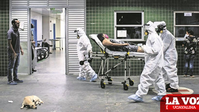 Varias teorías sobre el origen del coronavirus "son irracionales" opina experto de la OMS en Wuhan