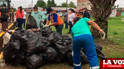 Este sábado recogerán criaderos de zancudo en Húsares del Perú