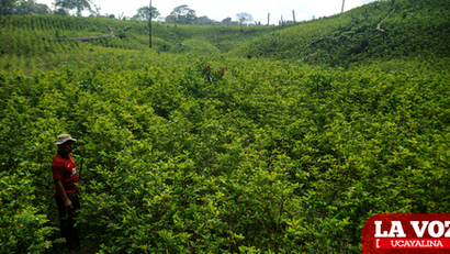 Ucayali frente al abandono: crimen, impunidad y un Estado ausente que deja solos a los defensores del territorio