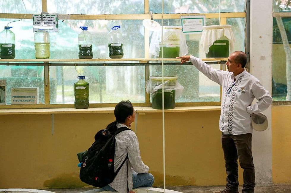 Taricuarima ha aprendido mucho de los poderes de las plantas a través de los abuelos y las abuelas kukama kukamiria. Foto: Patrick Murayari