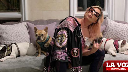 Mujer que encontró a los perros de Lady Gaga aún no cobra el medio millón de recompensa
