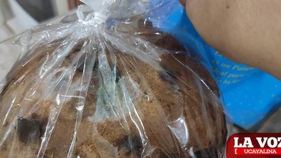 Denuncian venta de panetón con hongos en "La Moderna"