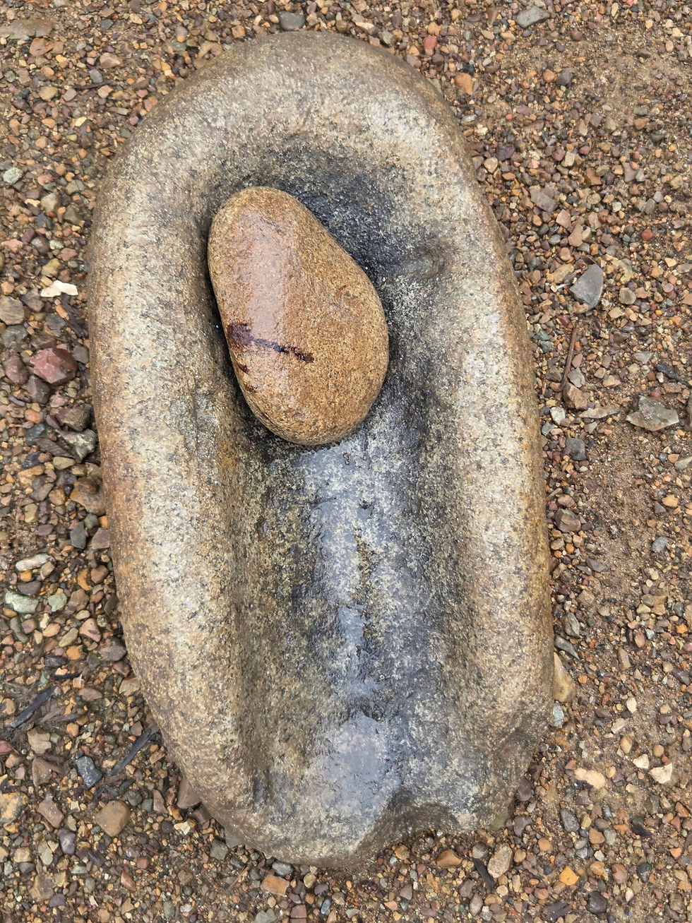 Aggwa (piedra) y muu (abuela/partera). Esta piedra de moler representa un objeto de conocimiento y práctica ancestral de las parteras. En ella se procesan plantas medicinales utilizadas para preparar el Muu Ina, la medicina tradicional asociada al cuidado de las mujeres durante el embarazo y el parto. Foto: cortesía Yadixa Del Valle-Guardia.