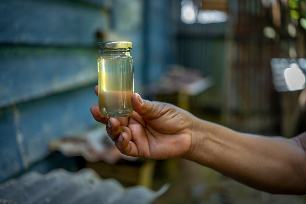 En las comunidades bora, la miel es utilizada para tratar la tos, los resfríos, dolores reumáticos y otras enfermedades comunes. Foto: cortesía Conservación Internacional Perú