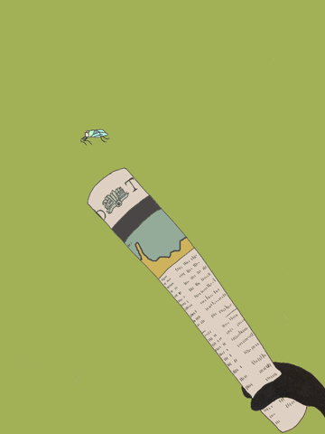 giphy.gif