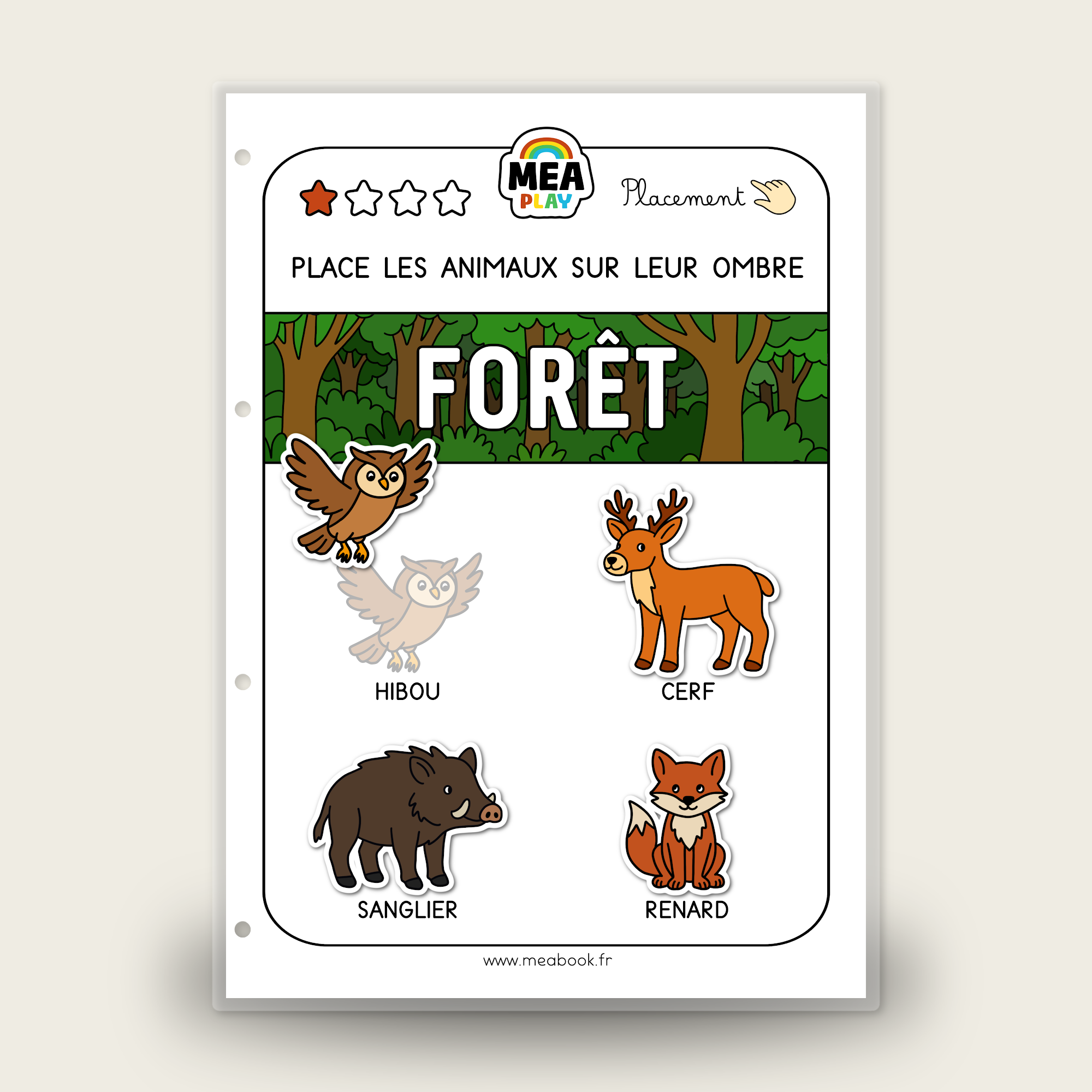 🌈 MEA Play 🦉 Animaux forêt