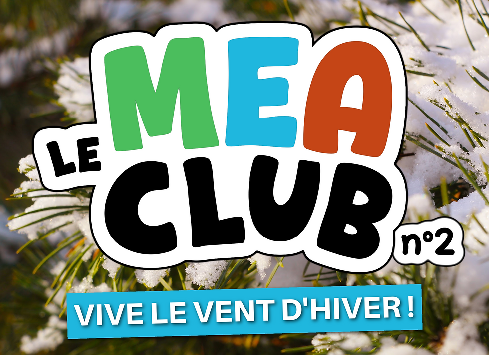 DIY #2 Les flocons de neige ❄️