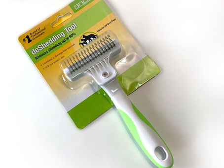 2025.11.20ディシェーダー再入荷しました！