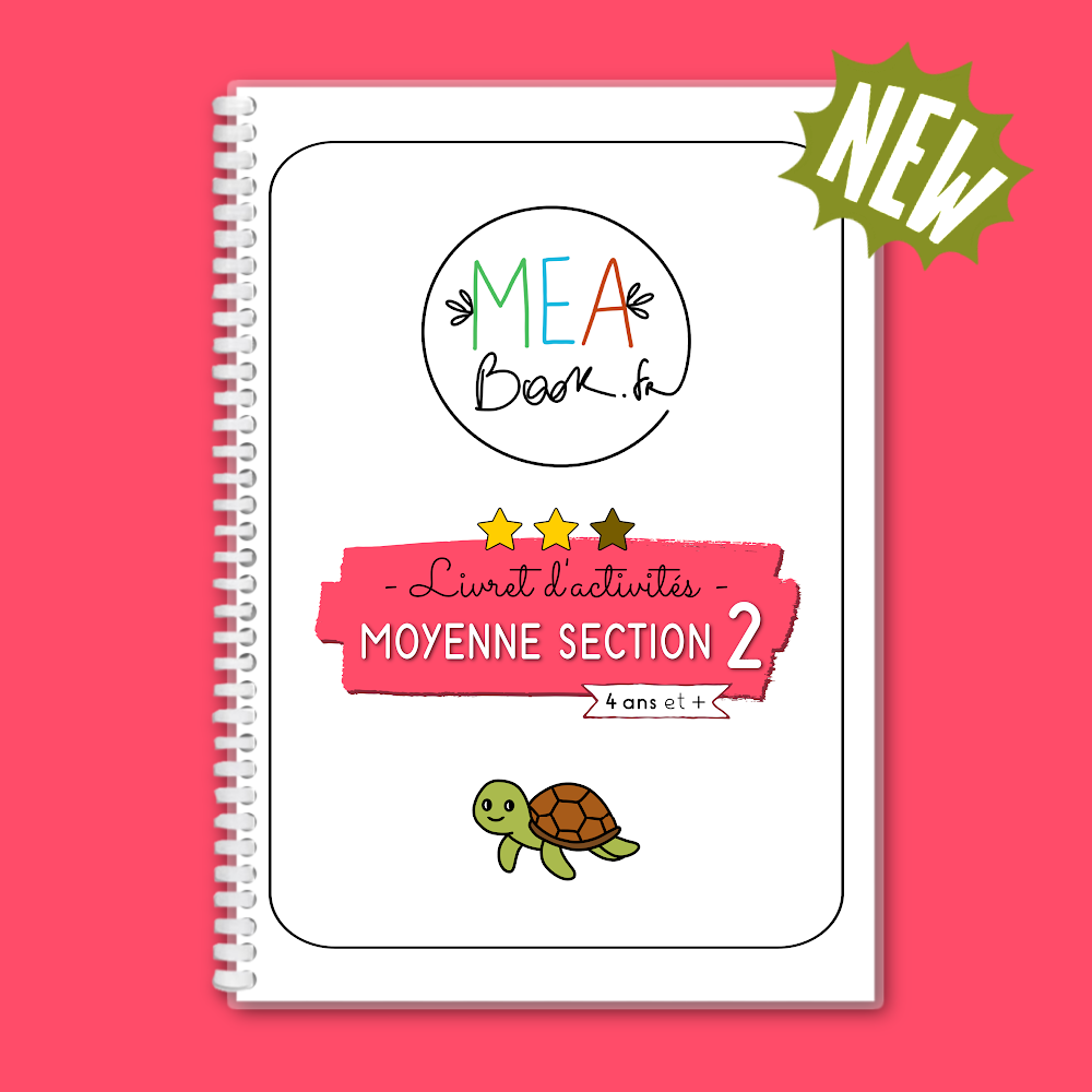 🐢 Moyenne Section #2